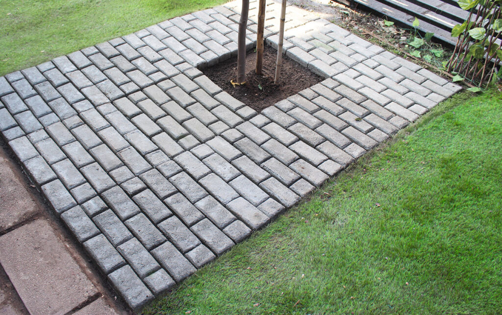 Instalación de palmeta de adoquines